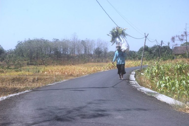 Jalan Lingkungan Nglenyer, Bawa Hasil Pertanian Nyaman, Warga Dusun Goimo Bubulan Senang 7 Jalan Lingkungan Nglenyer, Bawa Hasil Pertanian Nyaman, Warga Dusun Goimo Bubulan Senang