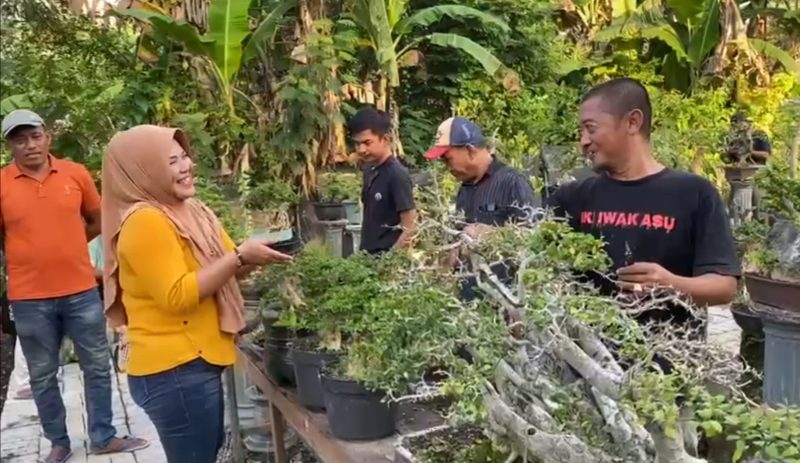 Pasar Bonsai, Obsesi Pegiat Tingkatkan Kesejahteraan Pembudidaya 1 IMG_20240421_144516