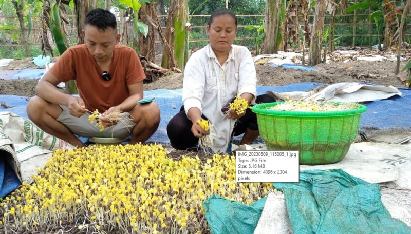 Klaster Budidaya Ale Berkembang Berkat KUR BRI Bojonegoro 41 IMG 20241127 WA0019