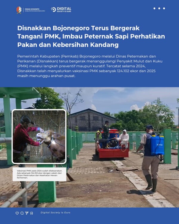 Disnakkan Bojonegoro Gencar Tangani Penyakit Mulut dan Kuku, Peternak Sapi Diminta Jaga Pakan dan Kebersihan Kandang 47 qHItfaJdK3QsIM7J