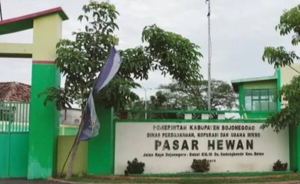 Pemkab Bojonegoro Perpanjang Penutupan Pasar Hewan, Antisipasi Penyebaran PMK pada Ternak 41 IMG 20250209 094604