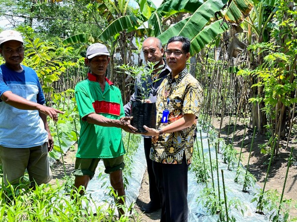 Perkuat Ketahanan Pangan Keluarga, Pemkab Bojonegoro Salurkan Bibit Aneka Sayuran 47 hnCE5j5WVZac7bA9