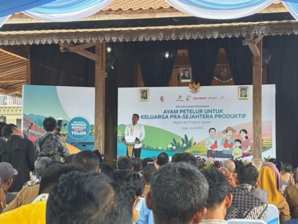 Tingkatkan Perekonomian Keluarga Prasejahtera Bupati Bojonegoro Bagikan Puluhan Ribu Ayam 41 FZlZz4TzG31PBHsD