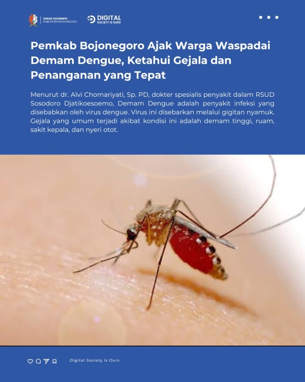 HmlUIWp5UHEHasoi