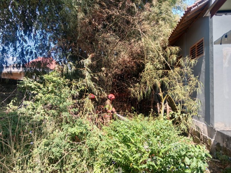 IMG-20250731-WA0029