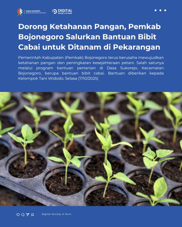 Pemkab Bojonegoro Salurkan Bantuan Bibit Cabai untuk Ditanam di Pekarangan 1 cxw4LHYQOBmYVnco