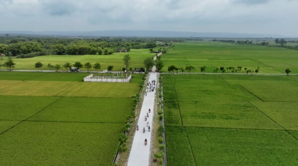 Jalan Membelah Bentang Sawah Nan Indah di Balen - Bojonegoro Menyegarkan dan Manjakan Mata 1 FVSqj5YPdJrQtUTN (1)