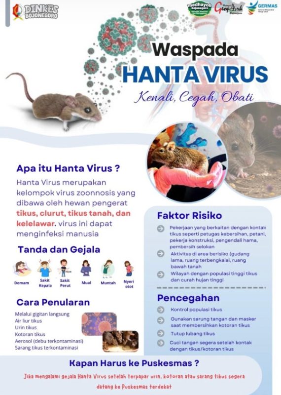 Dinkes Bojonegoro Ajak Masyarakat Waspada Hantavirus dengan Menjaga Kebersihan Lingkungan 41 6iT9GQ0BOF9unYaM