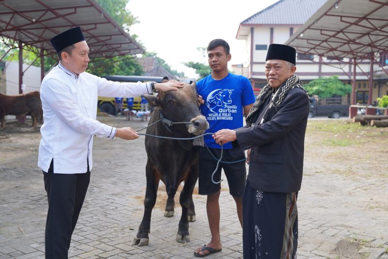 IMG 20260527 WA0053