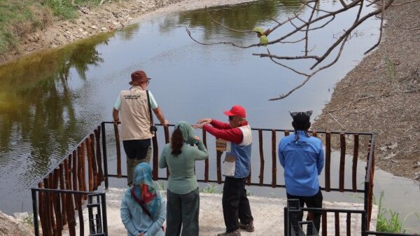 Keunikan Geosite Kedung Lantung, Sumber Rembesan Minyak Bumi di Sugihwaras-Bojonegoro 23 dTu2AnyNi5YcjRnP