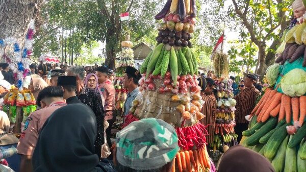 Sedekah Bumi Sumur Mojo, Perekat Kebersamaan dan Wujud Rasa Syukur Warga Sobontoro 13 8Zx4yp7fp5g3iPOy