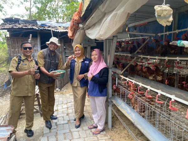 Tingkatkan Pendapatan, Telur GAYATRI  jadi Sumber Rezeki Warga Prayungan-Sumberrejo